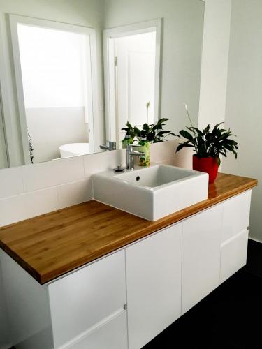 Bamboo vanity top